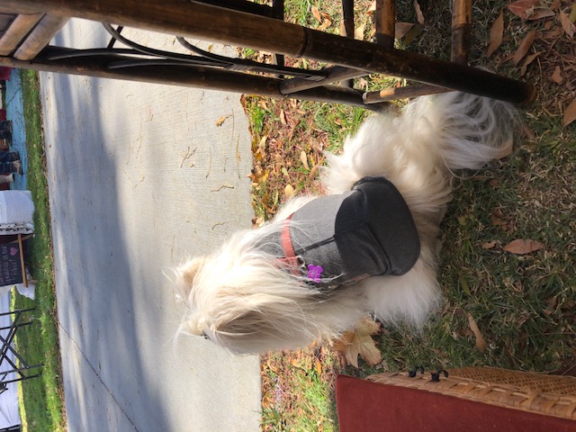 IMG_0792.JPG?1622774545433