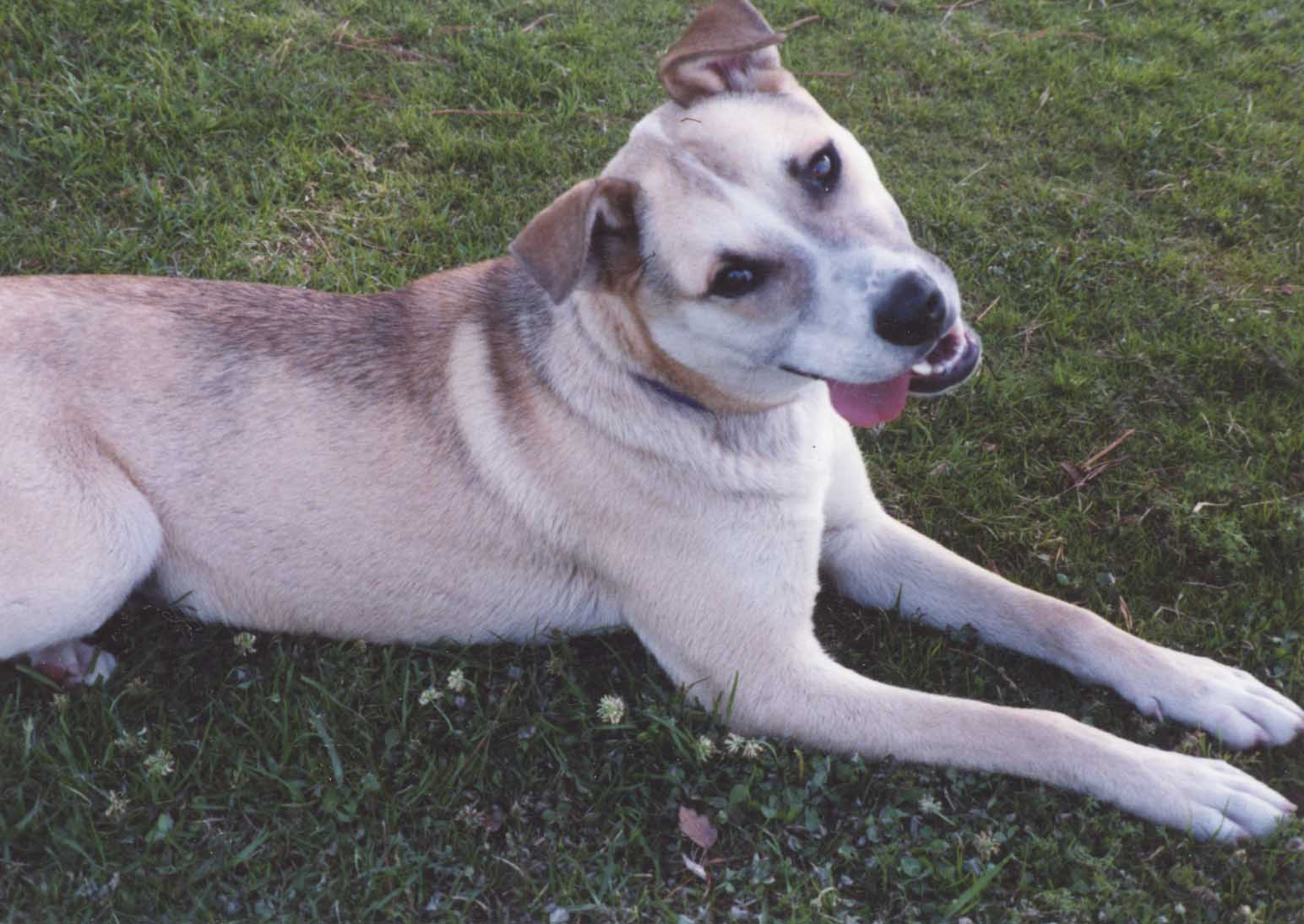 raindance.JPG?1621484664606